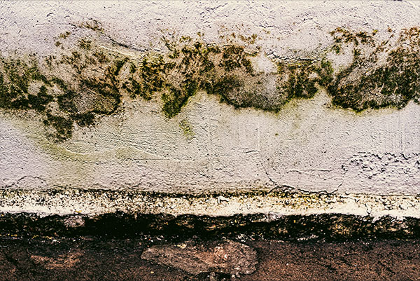 Leaks & Water Damage