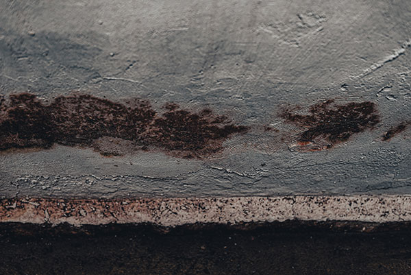 Water Leakage & Interior Damage
